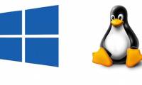 Windows Subsystem for Linux is about to appear on Windows Server