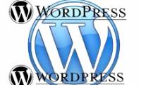 WordPress.com blog service collapsed because of a DoS attack