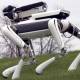 Photo of 10 robots have succeeded in proving they are new generation animals