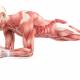Photo of 15 basic errors when exercising can be harmful to your health