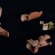 Photo of 2,000-year-old toy was discovered inside the children's tomb in Turkey