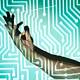 Photo of 32M became the first company to implant microchips into employees
