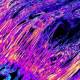 Photo of 3D images show how the heel tendon in our body is?
