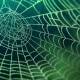 6 misunderstandings about Dark Web