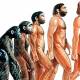 7 evidence that the human body is still evolving day by day