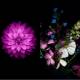 Admire and download iOS 8's stunning wallpaper set