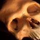 Photo of Ancient human skulls are the world's oldest tsunami victims found