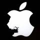 Photo of Apple damages millions of advertising companies