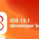 Photo of Apple has released iOS 13.1 beta, although iOS 13 has not been officially launched
