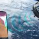 Apple secretly developed satellite technology, can future iPhones work without carriers?