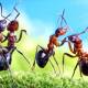 Photo of Can ants survive if they fall from the roof of the building?