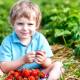 Photo of Children who live on the farm in the first years of life have fewer allergies than children in urban areas