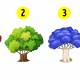 Choose a tree you like best to know what needs to change in the new year 2018