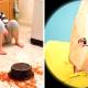 Photo of Choosing a photo that makes you feel the most annoying will reveal exactly who you are!