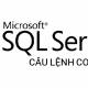 COALESCE statement in SQL Server