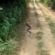 Cobra snakes its head in a beer can and an unexpected ending