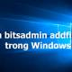 Command bitsadmin addfileset in Windows