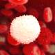 Photo of Create a method to accurately determine the age of the cell