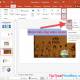 Photo of Create and use effects for audio and video in PowerPoint
