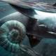 Photo of Decipher the mystery of the extinction that destroyed 96% of marine life