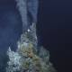 Photo of Deep-water fish use hydrothermal vents to hatch eggs