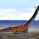 Photo of Defeating the blue whale, this 37m-long dinosaur is the world's largest creature