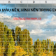 Photo of Delete background colors and backgrounds in Excel