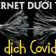 Did the Covid-19 pandemic collapse the global Internet system?  Professor Harvard answered