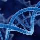 DNA information leaks are worse than leaking many credit card information