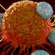 Photo of Finding compounds can kill 25% of all cancers in the test environment