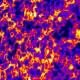 Photo of Finding new ways to study cholesterol distribution on cells