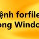 Forfiles command in Windows
