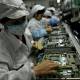 Photo of Foxconn is struggling just because of iPhone 6