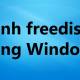 Freedisk command in Windows