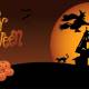 Photo of Halloween festival - Origin, meaning and interesting things to know