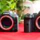 Photo of Reviews Canon EOS R5 and R6: Configure powerful video