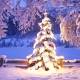 Photo of How does Christmas snowman animation effect?