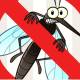 Photo of How to chase mosquitoes to prevent dengue, Zika virus
