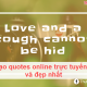 Photo of How to create online quote online fastest and most beautiful