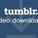 How to download videos on Tumblr