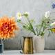 Photo of How to identify flower names by phone camera