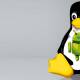How to install Linux on Android doesn't need root