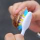 Photo of How to Keep a Pet Land Snail