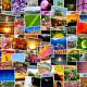 Photo of How to organize photos with the Photos app on Windows 10