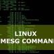 How to use the dmesg command in Linux