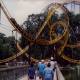 Photo of How to Visit Busch Gardens Williamsburg