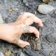 Photo of India first discovered fossils of fish lizards