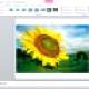Photo of Instructions for inserting Pictures and Clip Art in PowerPoint