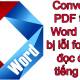 Photo of Instructions for transferring PDF files to Word are free of Vietnamese errors