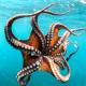 Photo of It turned out that the octopus gave up its ability to evolve to become smarter